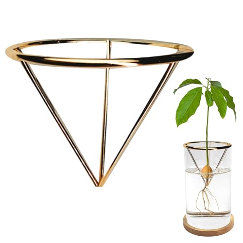 Avocado Growing Bracket - Avocado Growing Triangular Holder | Avocado Growing Starter Bracket | Plant Bracket For Avocado Tree, Metal Triangle Rack, Root Starter Holder Bracket For Growing von Generisch