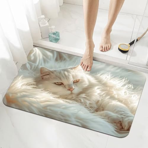 Badematte Rutschfester 100x160cm, Super Absorbierende Badezimmerteppich, Schnelltrocknende Badteppich Badvorleger Rutschfest Waschbar Teppiche Badezimmer, Duschvorleger Extra Dünn Fußmatte Cat 5-191 von Generisch