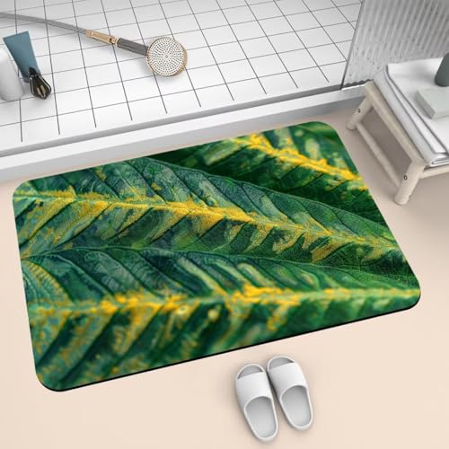 Badezimmerteppich Badteppich 60x90cm Badematte Badvorleger Rutschfester Waschbar Badezimmer Teppiche, Badematten Super Absorbierender Bath Mat, Dünn Teppich klein Schnelltrocknend Create 2-794 von Generisch
