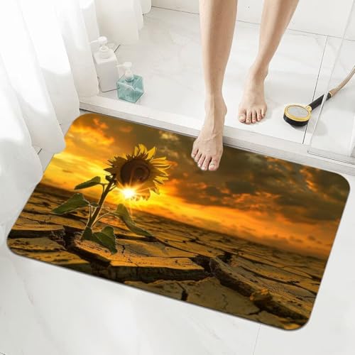 Badezimmerteppich Groß Schnelltrocknend Badteppich 160x230cm Rutschfester Badematte Brown Absorbierender Duschvorleger Waschbar Badvorleger Dünn Bath Bathroom Mat Fußmatten Toilette Badewanne 5-136 von Generisch