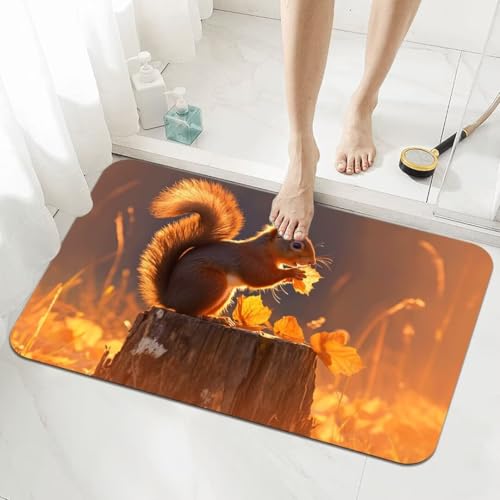 Badezimmerteppich Groß Schnelltrocknend Badteppich 80x150cm Rutschfester Badematte Squirrel Absorbierender Duschvorleger Waschbar Badvorleger Dünn Bath Bathroom Mat Fußmatten Toilette Badewanne 5-1026 von Generisch