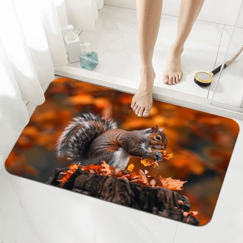 Badezimmerteppich Kleine Schnelltrocknend Badteppich 50x80cm Rutschfester Badematte Squirrel Absorbierender Duschvorleger Waschbar Badvorleger Bath Bathroom Mat Fußmatten Toilette Badewanne 5-1030 von Generisch
