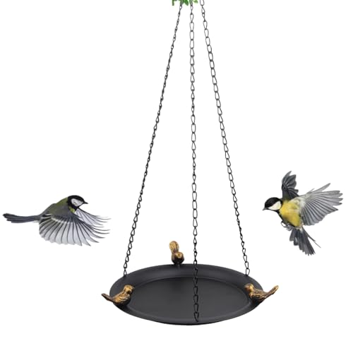 Badregal für Vögel aus Metall - Badezimmer für Vögel aus Metall | Kolibri-Netzteil | Zubehör für die Stromversorgung des Tabletts für Wasserschüssel, künstlerische Gartendekorationen Badregal für Vögel aus Metall - Badezimmer für Vögel aus Metall | Kolibri-Netzteil | Zubehör für die Stromversorgung des Tabletts für Wasserschüssel, künstlerische Gartendekorationen von Generisch