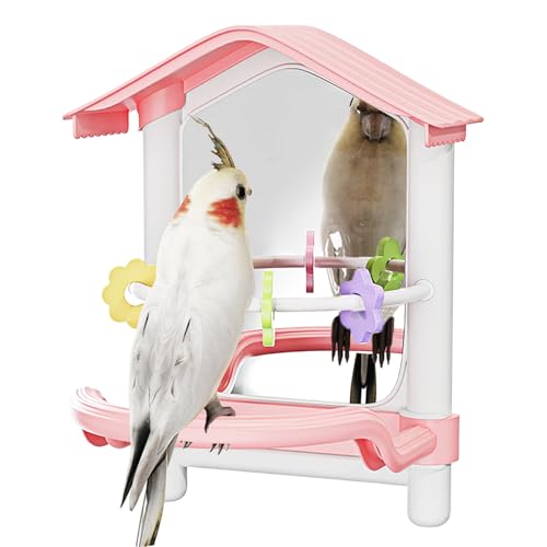 Barschständer für Vögel - Hängende Spiegelstation, Stimulationsspielzeug | Design für sicheren Griff und Montageklammer, immersive Konfiguration für Tauben, Par von Generisch
