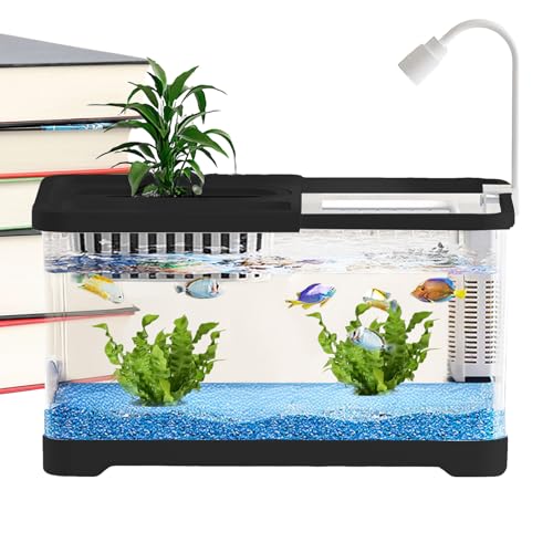 Betta Fish Tank – AS PP Glas Aquarium mit Filter – 30 cm transparente, klare Landschaftsschalen, Futterstation für Betta-, für Guppy, Schnecken, Schildkröte, ideal für Zuhause, Büro von Generisch