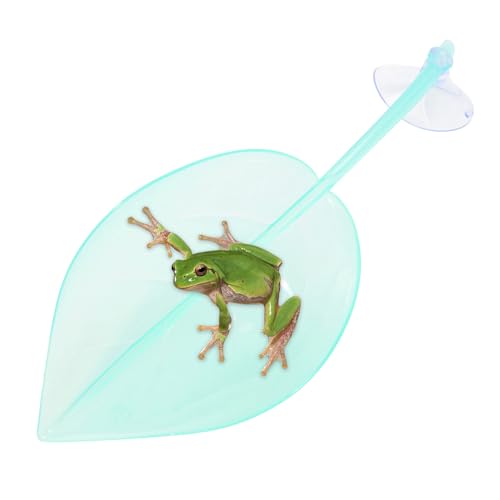 Betta Hängematte - Betta Laichblätter | Bettas Fischblatt Hängematte | Ruhestrasse | Saugnapfbecher Blattform -Terrarium -Accessoires für Leoparden Gecko Amphibian Toads Turtles Teich Hinterhof Betta Hängematte - Betta Laichblätter | Bettas Fischblatt Hängematte | Ruhestrasse | Saugnapfbecher Blattform -Terrarium -Accessoires für Leoparden Gecko Amphibian Toads Turtles Teich Hinterhof von Generisch
