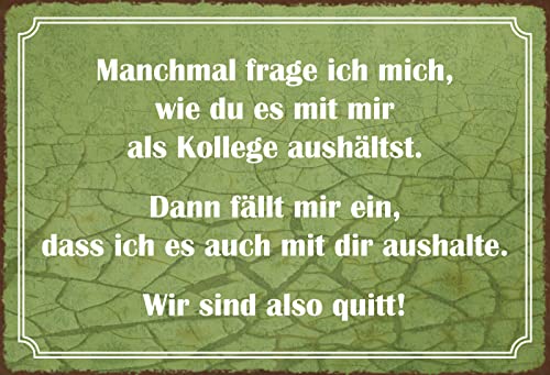 Blechschild 20x30cm Manchmal Frage ich mich wie du es mit mir als Kollege aushältst Dann fällt mir ein das ich es auch mit dir Aushalte Wir sind Quitt Lustig Spruch Tafel von Generisch