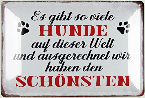 Blechschild 20x30cm gewölbt Es gibt so viele Hunde Hund Spruch Sprüche Deko Geschenk Schild von Sunature