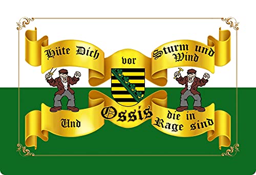 Blechschild 20x30cm gewölbt Hüte dich vor Sturm und Wind Ossis Sachsen Sprüche Deko Geschenk Schild Blechschild 20x30cm gewölbt Hüte dich vor Sturm und Wind Ossis Sachsen Sprüche Deko Geschenk Schild von Lulizzie