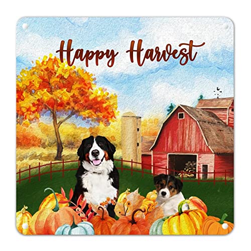 Blechschild mit Aufschrift "Maple Fall Farm Barn Pumpkin Happy Harvest Dog Beagle Metal Sign Rust Autumn Welcome Sign Thanksgiving Day Farmhouse Autumn Wall Art for Hallway Sewing Room Apartment Pool Blechschild mit Aufschrift "Maple Fall Farm Barn Pumpkin Happy Harvest Dog Beagle Metal Sign Rust Autumn Welcome Sign Thanksgiving Day Farmhouse Autumn Wall Art for Hallway Sewing Room Apartment Pool von Generisch