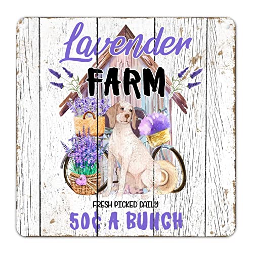 Blechschild mit violettem Lavendel, Bauernhof, Retro-Holzmaserung, einzigartiges Geschenk zum Schulabschluss, lustiges Schild für Zuhause, Küche, Kaminsims, Wintergarten, Wohnmobile, fertig zum Blechschild mit violettem Lavendel, Bauernhof, Retro-Holzmaserung, einzigartiges Geschenk zum Schulabschluss, lustiges Schild für Zuhause, Küche, Kaminsims, Wintergarten, Wohnmobile, fertig zum von Generisch