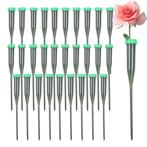 Blumenstiel -Wasserrohre - 30 Stück grüne Florist Wasserrohre, langlebige Blumenversorgungsbehälter für Lilienknospen, Wolkenwurzeln, frische geschnittene Blumen, Straußanordnungen, Wohnzimmer im Wohn Blumenstiel -Wasserrohre - 30 Stück grüne Florist Wasserrohre, langlebige Blumenversorgungsbehälter für Lilienknospen, Wolkenwurzeln, frische geschnittene Blumen, Straußanordnungen, Wohnzimmer im Wohn von Generisch