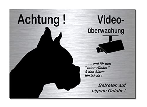 Boxer-Video überwacht-Hund-Schild-Hundeschild- 300 x 200 x 3 mm-Aluminium-Edelstahloptik-Hunde-Tierschild-Warnschild-Hinweisschild (Aluminium 133-38 ohne Löcher) von Generisch