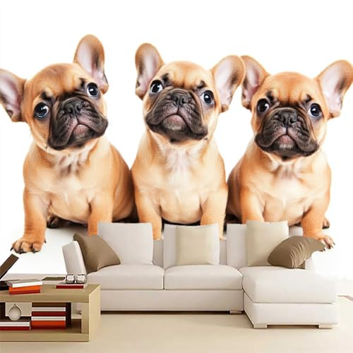 Bulldogge Fototapete selbstklebend 3D Effekt Welpe Wandgemälde Tapete für Wände Schlafzimmer Wohnzimmer Schlafzimmer TV-Hintergrund Kinderzimmer Dekoration （365 x 254 cm） von Generisch