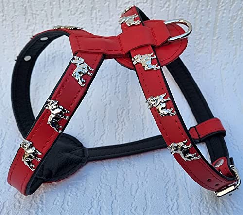 Bully Französische Bulldogge French Bulldog Frenchie Geschirr Brustgeschirr Echt Leder - 3 Verschiedene Größen ROT - Schwarz (2. Brustkorb 51-57cm/62cm) von Generisch