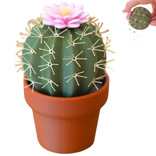 Cactus Salt and Pepper Shaker, Spikey Spices, 3D Printed Cute Mini Spice Containers, Refillable Salt and Pepper Grinder Set for Kitchen or Outdoor Use (1) von Generisch
