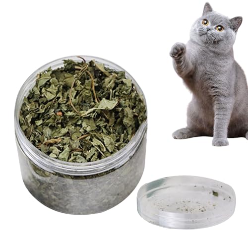 Catnip Leaf Single Can - 40 g, natürlicher Komfort organisches Katzengras, lose Blatt Katzenminze gepackte Kunststoffbox | Behandlungsbetriebs -Katzenminze für Katzen, Innen-, Beruhigungssnack - von Generisch