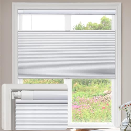 Cellular Plissee für Fenster, schnurlose Wabenblenden, von oben nach unten nach oben, Verdunkelung, Fensterbehandlung, einfache Installation ohne Werkzeug, 127 cm B x 183 cm H, ideal für Zuhause und von Generisch