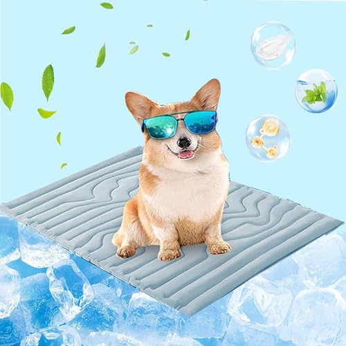 Chillcare Pro, Chillpaw KüHlmatt, Pfotenchill - Die Innovative KüHlmatte FüR Hunde Pet Cooling Pad, Kontaktkühlung & leicht und faltbar für Autositze, Reisen und Zuhause (1PC-Blau,150 x 101 cm) von Generisch