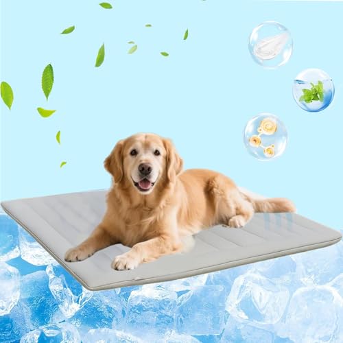 Chillcare Pro, Chillpaw KüHlmatt, Pfotenchill - Die Innovative KüHlmatte FüR Hunde Pet Cooling Pad, Kontaktkühlung & leicht und faltbar für Autositze, Reisen und Zuhause (1PC-Grau,150 x 101 cm) von Generisch