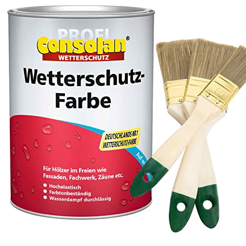 Consolan Profi Wetterschutzfarbe Pro (inkl. Nordje Pinsel-Set 3-teilig) (10L, Schwarz) von Generisch