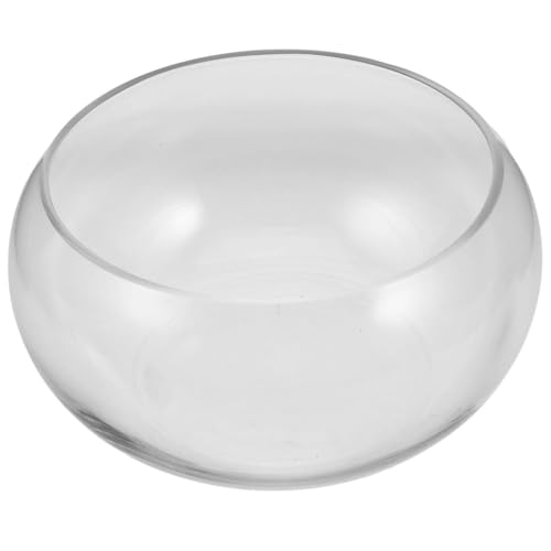 Dekoratives Glas-Fischglas für Lotusblumen und Sukkulenten, transparente Vase für Hydrokulturpflanzen, Sukkulentententopf, Übertopf, Glas-Fischschale, Blumentopf, transparent von Generisch