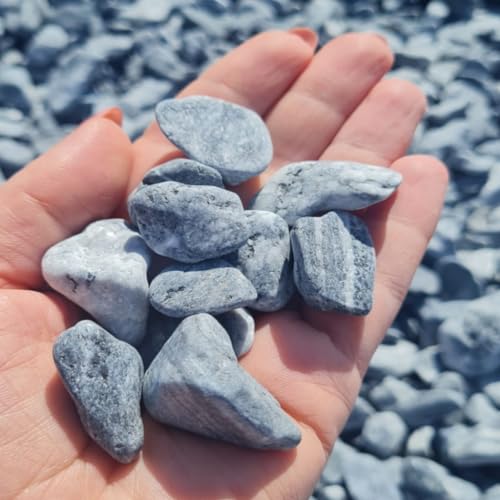 Dekosteine Kieselsteine Natur Grau Kieselsteine Deko Verschiedene Deko Kieselsteine - Gemischter Flusskies für Vasenfüller, Landschaftsbau, Aquarien & Garten (1-3 cm, 20) von Generisch