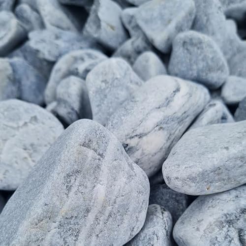 Dekosteine Kieselsteine Natur Grau Kieselsteine Deko Verschiedene Deko Kieselsteine - Gemischter Flusskies für Vasenfüller, Landschaftsbau, Aquarien & Garten (2-4cm, 20) von Generisch