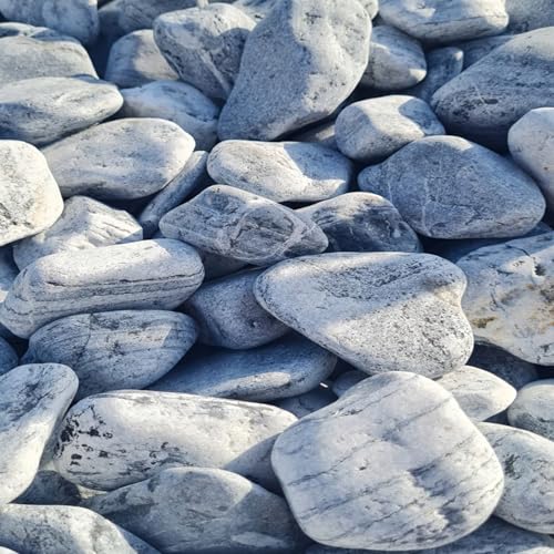 Dekosteine Kieselsteine Natur Grau Kieselsteine Deko Verschiedene Deko Kieselsteine - Gemischter Flusskies für Vasenfüller, Landschaftsbau, Aquarien & Garten 6-10cm (20, Kilogramm) von Generisch