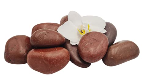 Generisch Dekosteine Polierte Kieselsteine Natur Kieselsteine Deko Verschiedene Deko Kieselsteine Rot 2-4 cm - Gemischter Flusskies für Vasenfüller, Landschaftsbau, Aquarien & Garten (5, Kilogramm) von Generisch
