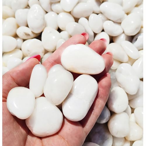 Dekosteine schwarz rot weiß poliert 2 kg, Kieselsteine Garten 2-4 cm, Zierkies für Vasen, Flusssteine, Ziersteine, Flusssteine Pflanzen, Deko-Kies, Steine-Garten, Kies, Flusskiesel, Deko (Weiß) von Generisch