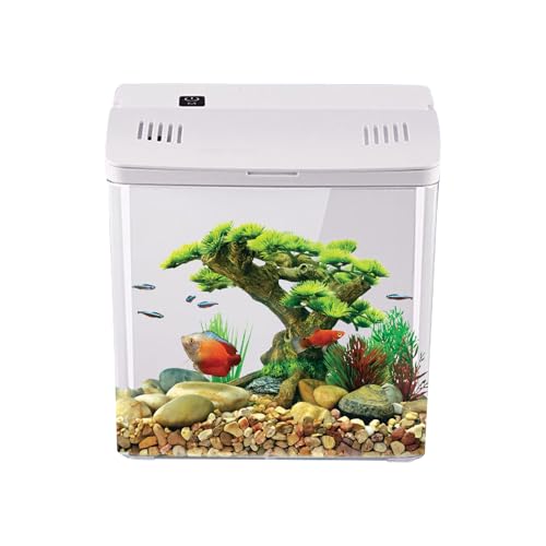 Desktop Aquarium | Kleines Becken Mit Filter | Wohndekoration | Für Riffaquarien Quallen Frösche Desktop Büro Schreibtisch Wohnzimmer Und Haustierheim von Generisch