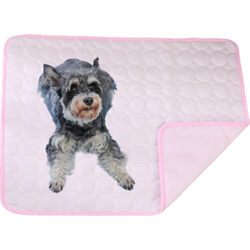 Dog Cooling mat 4 Times The Effect,Outdoor pet Cooling Bed,Washable Ice Silk self-coolings pad,Comfortable self-coolings Blanket,pet Bed,Sleeping pad, cat and Dog kennels,cage (pink, 150 * 100cm) von Generisch