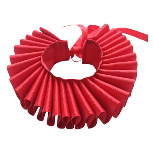 Dog Renaissance Elizabethan Portrait-Laub für Haustiere, historisches Dekoratives Frill, Ruff Rorissance Renaissance Renaissance Renaissance | Tierfotografie Kunstverzierung, Glas von Generisch