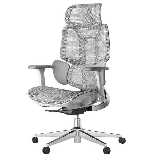 E3 Pro Ergonomischer Bürostuhl mit dynamischer Lendenwirbelstütze, 4D verstellbare Kopfstütze für Home Office Stuhl, 6D verstellbare Armlehnen, Schreibtischstuhl, Drehstuhl, großer und hoher von Generisch