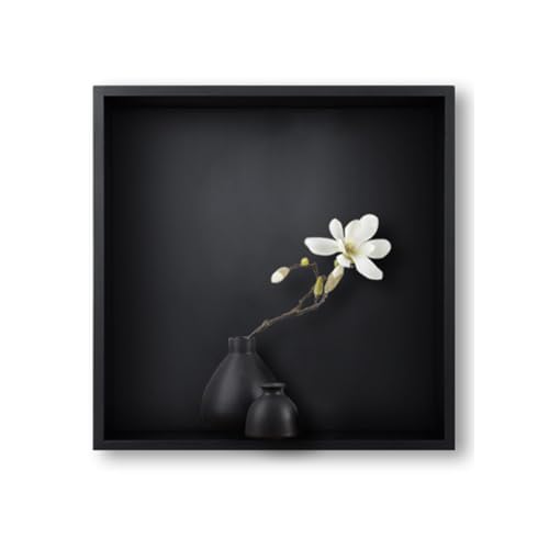 Edelstahl Duschregal - Wasserdichter Wandschrank aus Metall mit eingebauter Trennwand für Badezimmer & Wohnzimmer Einzelfach Design Schwarz Finish Edelstahl Duschregal - Wasserdichter Wandschrank aus Metall mit eingebauter Trennwand für Badezimmer & Wohnzimmer Einzelfach Design Schwarz Finish von Generisch