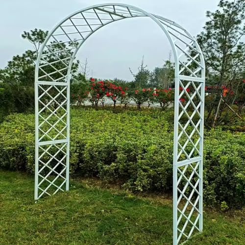 Eleganter Hochzeitsbogen aus Metall - Pergola aus weißem Eisen für Kletterpflanzen & Reben, 350 x 40 x 250 cm, stilvolle Gartendekoration für Zeremonien & Events von Generisch