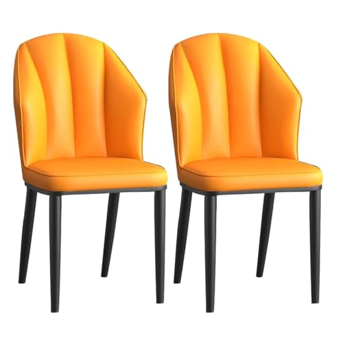 Esszimmerstühle 2er Set, Hochlehner Leder Polsterstühle Küchenstühle mit Metallbeinen, Modernes Design für Esszimmer und Küche von Generisch