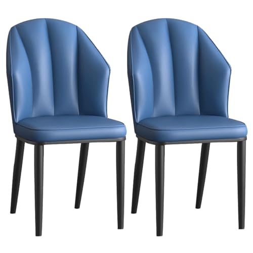 Esszimmerstühle 2er Set, Hochlehner Leder Polsterstühle Küchenstühle mit Metallbeinen, Modernes Design für Esszimmer und Küche von Generisch