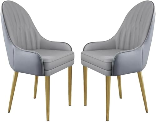 Esszimmerstühle aus Mikrofaserleder, 2er-Set, for Küche, Wohnzimmer, Lounge, Thekenstühle, stabile Metallbeine aus Kohlenstoffstahl(Cement Grey+Light Grey) von Generisch