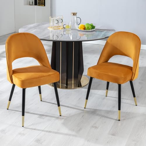 Esszimmerstühle aus Samt, 2er-Set, moderne Küchenstühle mit Rückenlehne, für Esszimmer oder Wohnzimmer, Freizeitsitzgelegenheit in stilvollem Design von Generisch
