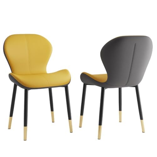 Esszimmerstuhl 2er Set - Polsterstuhl Küchenstühle mit Metallbeinen, bequemes modernes Design für Esszimmer von Generisch