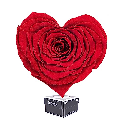 Ewige Rose Infinity Rosen in Geschenkbox Deko Rosenblätter getrocknet Echte konservierte Rosen Rosenkopf Rosenbox Muttertagsgeschenk (Geschenkbox Herz Rot) von Generisch