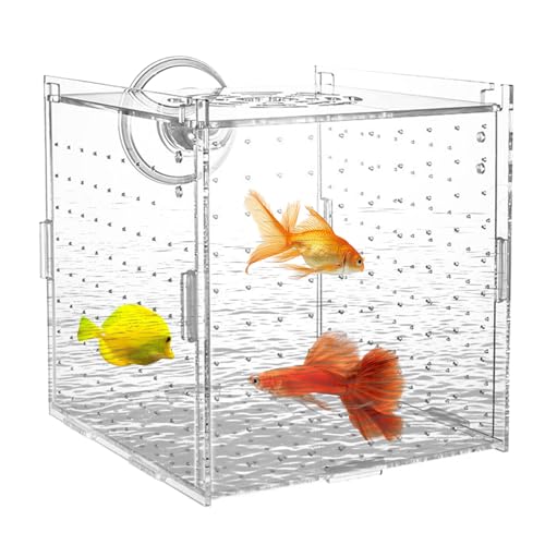 Fisch-Zuchtbox | Aus Acryl Mit Saugnäpfen,Stabile Zuchtbox Mit Trennwand Für Eier Jungfische Guppys Skalare Antennenwelse Fisch-Zuchtbox | Aus Acryl Mit Saugnäpfen,Stabile Zuchtbox Mit Trennwand Für Eier Jungfische Guppys Skalare Antennenwelse von Generisch