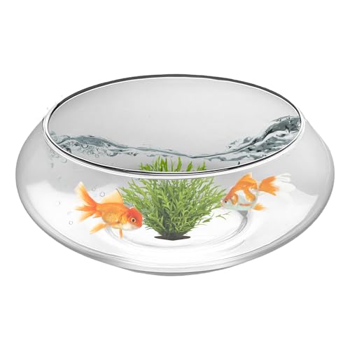 Fischglas Aus Glas - Flache Narzissenschale - Klar Rund Indoor Blumen Sukkulenten Vase Fischglas Für Tischdekoration Hochzeit Zuhause Festlich Fischglas Aus Glas - Flache Narzissenschale - Klar Rund Indoor Blumen Sukkulenten Vase Fischglas Für Tischdekoration Hochzeit Zuhause Festlich von Generisch