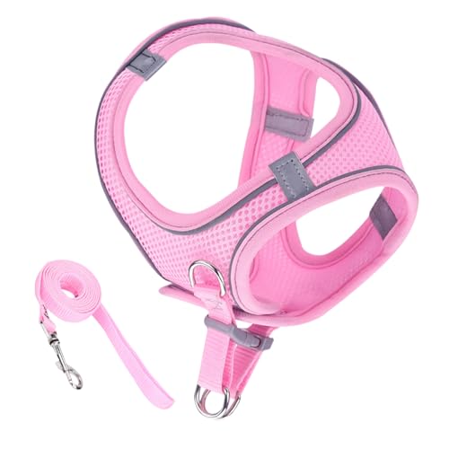 Fluchtsicheres Katzen Geschirr | Weiches Reflektierendes Mesh Geschirr Und Leine | Größen S M L Für Wanderungen Training Reisen Outdoor von Generisch