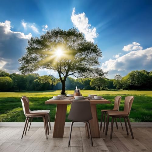 Fototapete Grasland Bäume Landschaft 200x140 cm 3D Vliestapete Wandbild, Mustertapete Moderne Wandtapete, Wohnzimmer Schlafzimmer Kinderzimmer Büro Flur Wanddeko Fototapete Grasland Bäume Landschaft 200x140 cm 3D Vliestapete Wandbild, Mustertapete Moderne Wandtapete, Wohnzimmer Schlafzimmer Kinderzimmer Büro Flur Wanddeko von Generisch