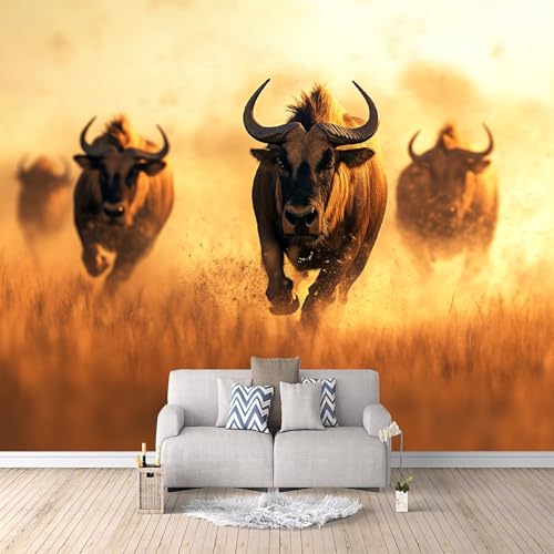 Fototapete Kuh Sonnenschein, 3D-Druck Muster Tier Wandbilder 500x280 cm Vliestapete Einfache Montage Trockenen/Feuchten Tuch Reinigen Wanddeko für Schlafzimmer Wohnzimmer Kinderzimmer Wandbilder Fototapete Kuh Sonnenschein, 3D-Druck Muster Tier Wandbilder 500x280 cm Vliestapete Einfache Montage Trockenen/Feuchten Tuch Reinigen Wanddeko für Schlafzimmer Wohnzimmer Kinderzimmer Wandbilder von Generisch