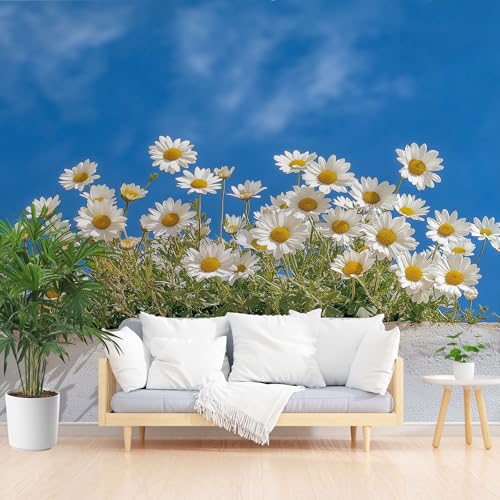 Fototapete Standard - Natur Pflanzen Blumen - 450x315cm (B x H) - Fototapeten Tapeten Moderne Wand Dekoration Pflanze Daisy Blue Wandtapete Motivtapeten Bildtapete Schlafzimmer Wohnzimmer von Generisch