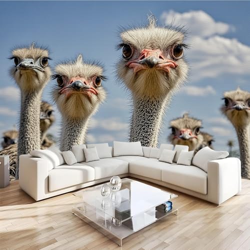 Fototapete Strauß Tier Vliestapete Moderne Wandtapete Tropisch Grasland Tapete Wohnzimmer Schlafzimmer Büro Flur Wanddeko Dekoration Wandbilder 3D Effekt Wand Tapeten 366x254 cm von Generisch